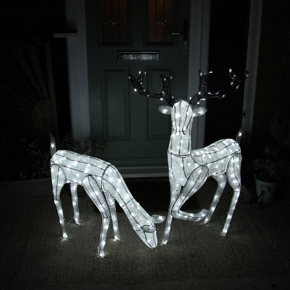 Large Light Up Stag & Doe Reindeer Set