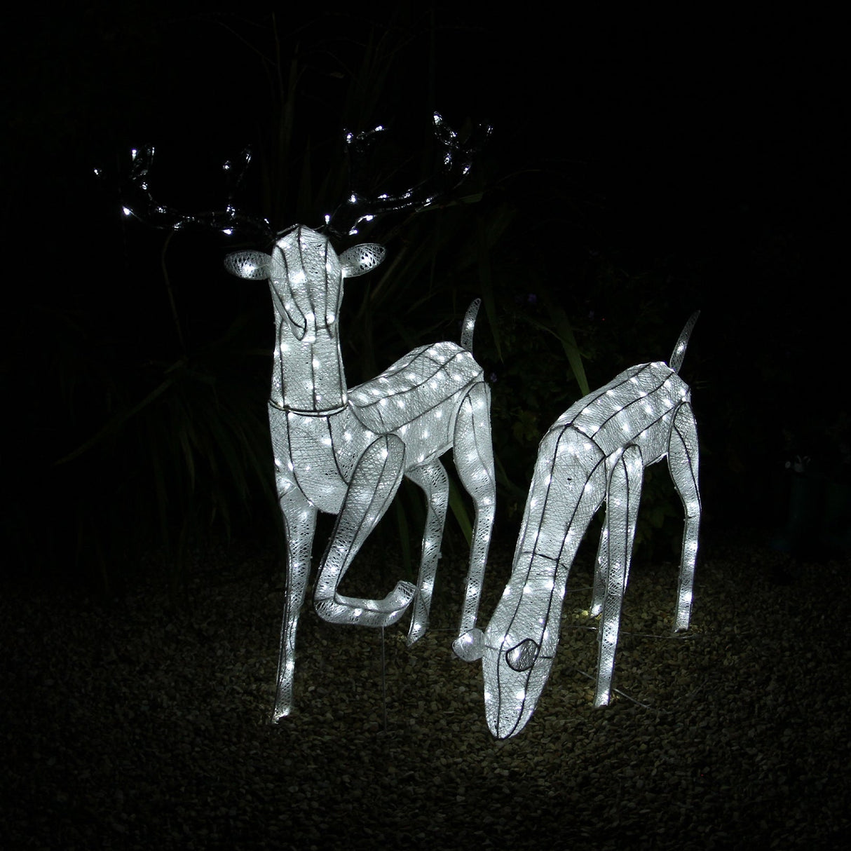 Large Light Up Stag & Doe Reindeer Set