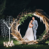 Wedding Moongate - Silver & 1 x Weeping Willow Tree 240cm Cool White