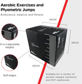 Small Body Revolution Plyo Box