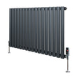 Oval single column radiator in anthracite grey, featuring sleek vertical bars and polished valves, ideal for modern interiors