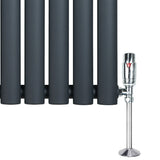 Oval single column radiator in anthracite grey, featuring smooth, rounded edges and a shiny chrome valve for modern heating solutions