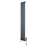 Oval single column radiator in anthracite grey, 1600mm x 240mm, featuring sleek vertical lines and modern valve design