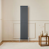 Anthracite grey oval single column radiator, 1600mm x 360mm, mounted on a wall with stylish valves, enhancing modern interior decor