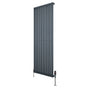 Oval single column radiator in anthracite grey, 1600mm x 600mm, featuring sleek vertical lines and modern valve design