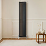 Sleek black oval single column radiator with polished valves, mounted on a light wall, enhancing modern interior decor