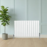 Flat single column radiator in white, 600mm x 910mm, with chrome valves, positioned against a light blue wall and wooden floor, complemented by a potted plant