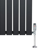 Flat single column radiator in anthracite grey, 1600mm x 560mm, featuring sleek vertical bars and a chrome valve for modern decor