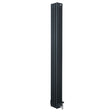 Traditional anthracite grey 4 column radiator, 1800 x 200mm, featuring a sleek vertical design and polished valves for modern interiors