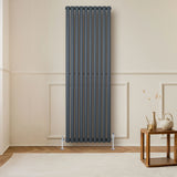 Oval single column radiator in anthracite grey, 1800 x 600mm, featuring sleek vertical lines, mounted on a light wall, enhancing modern decor