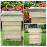Wooden Beehive Starter Kit