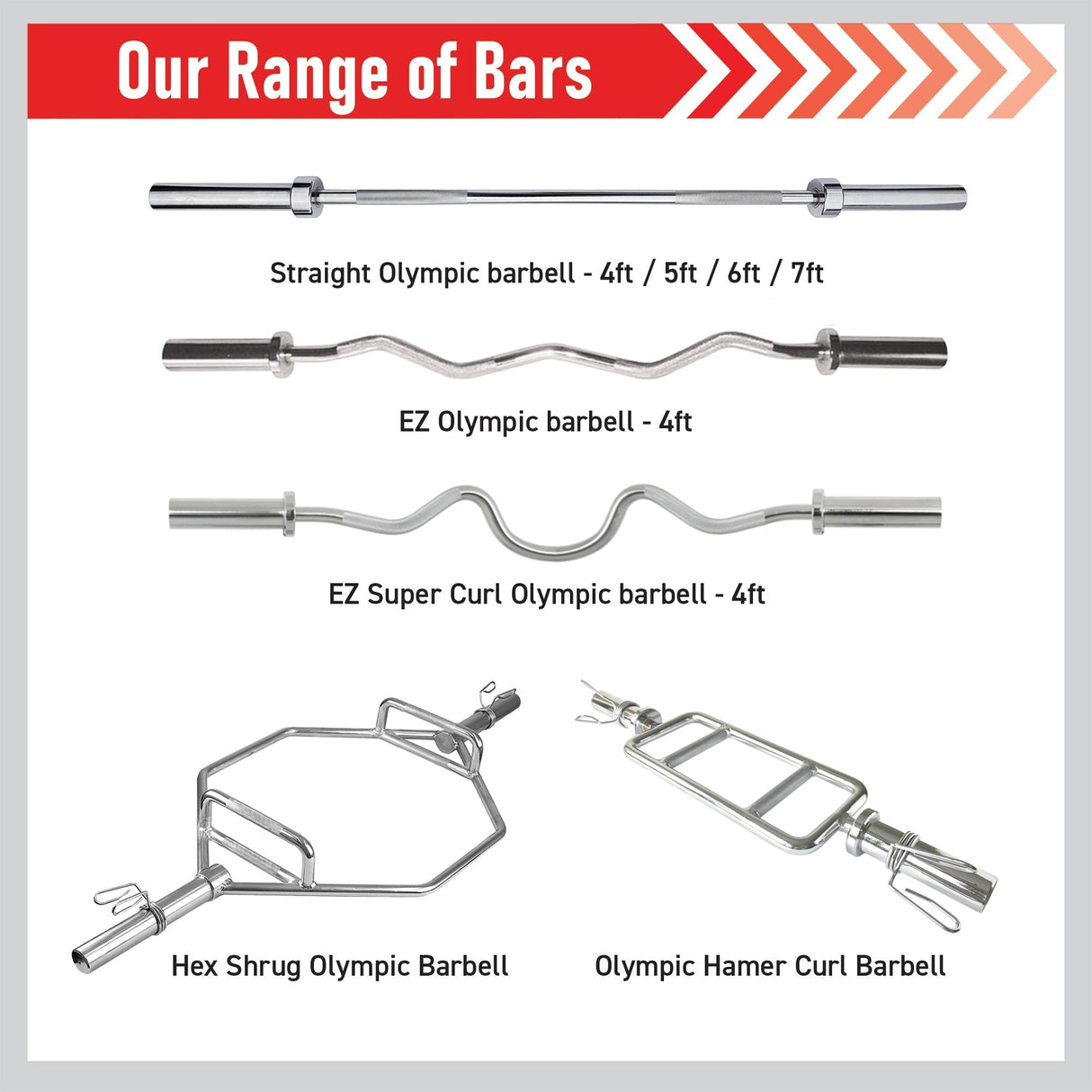 Body Revolution Olympic Super Curl EZ Barbell Bar - Body Revolution