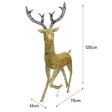 Light up Reindeer Gold Stag & Doe Set