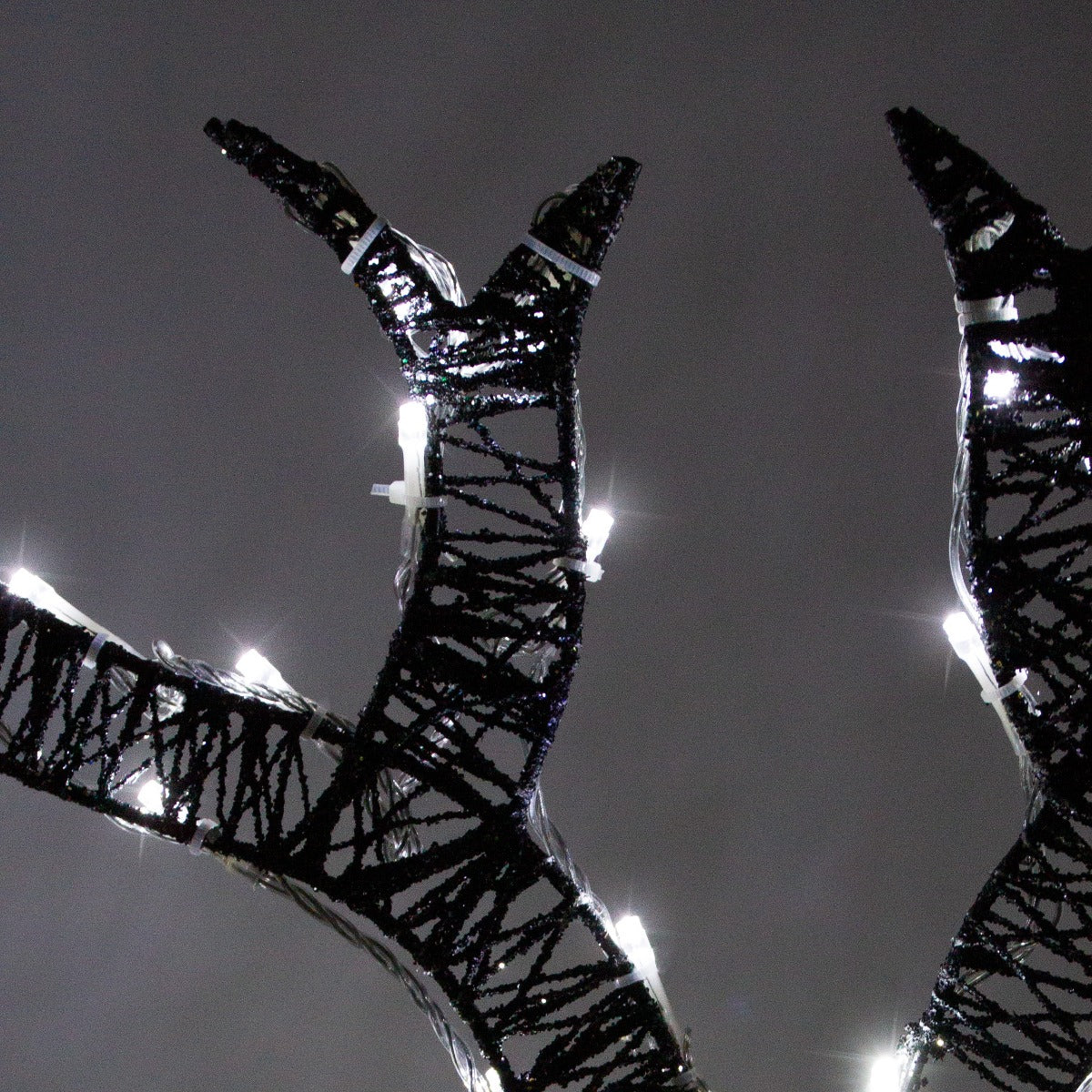 Light up Reindeer Gold Stag & Doe Set