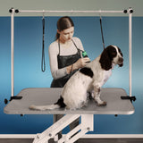 White Hydraulic Grooming Table - Grey Table Top