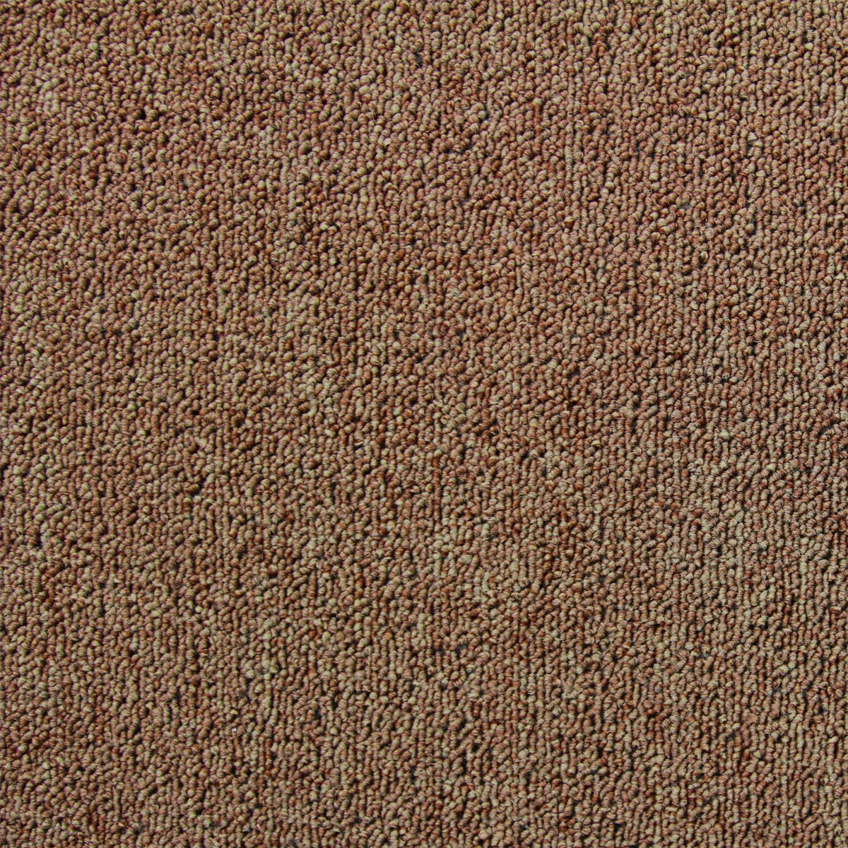 20 x Carpet Tiles 5m2 / Beige
