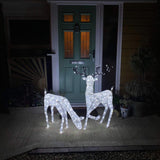Large Light Up Stag & Doe Reindeer Set